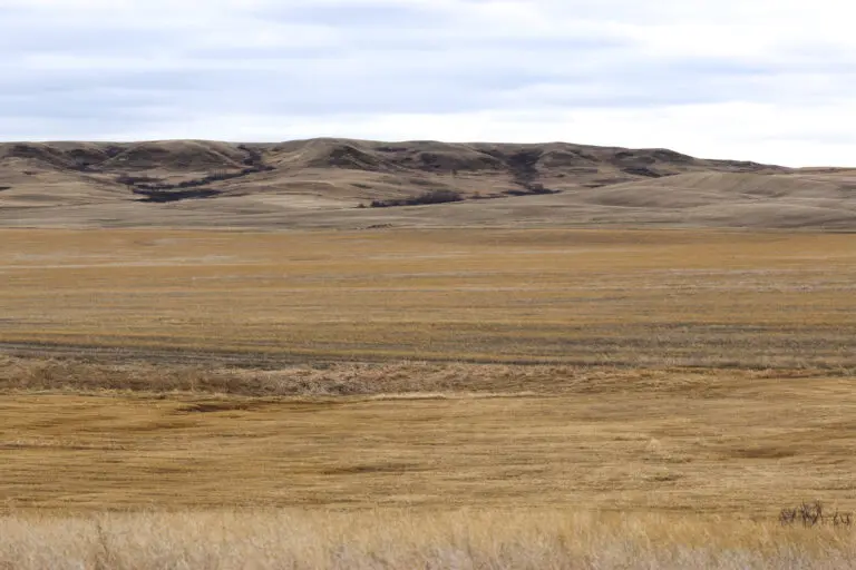 13_86228ef1-5923-4a09-8d1c-7e9747b47f36