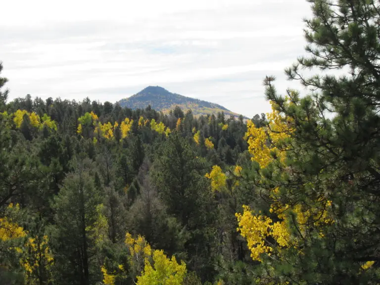 13_9f0a0620-3b05-4bd1-955c-c23ee63b93f6