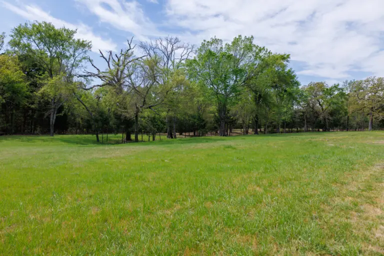 13_d121aa7d-7b0e-4ed9-bb00-1a1a1aa28158