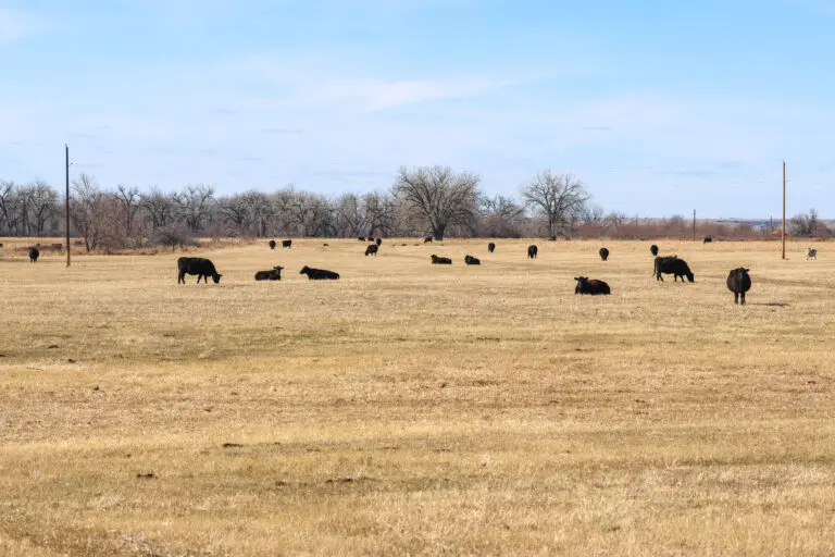 14_9daf0eb9-1cd7-45bd-b890-c5f87ce9b183