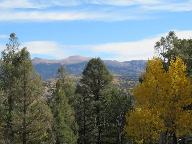 14_e732395b-b54f-46bb-89e6-068c6231f19b