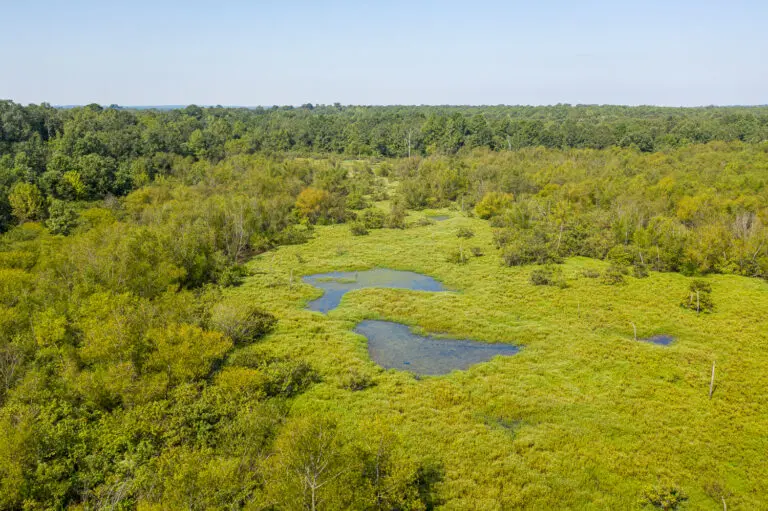 14_f489cac6-56f0-42f2-8d44-e18fd2714aa0