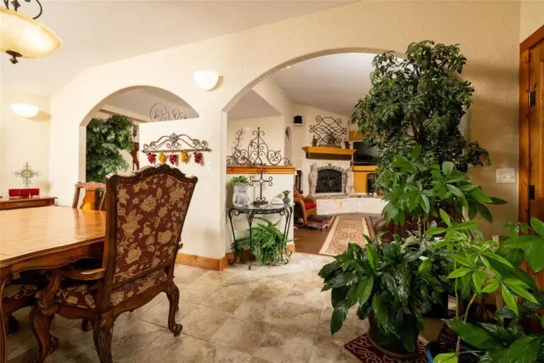 15_01006c9e-9634-42ee-81b1-75ba874306a5