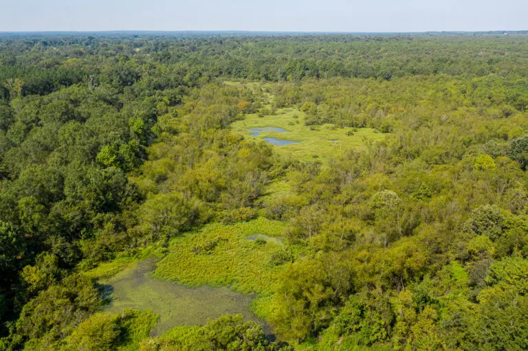 15_3525da02-2b87-41a6-8a10-b4a4c65b9204