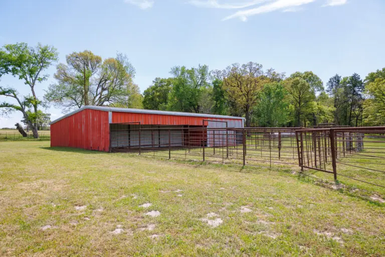 15_d3d4498e-3ff5-49aa-9733-cdbe69656549