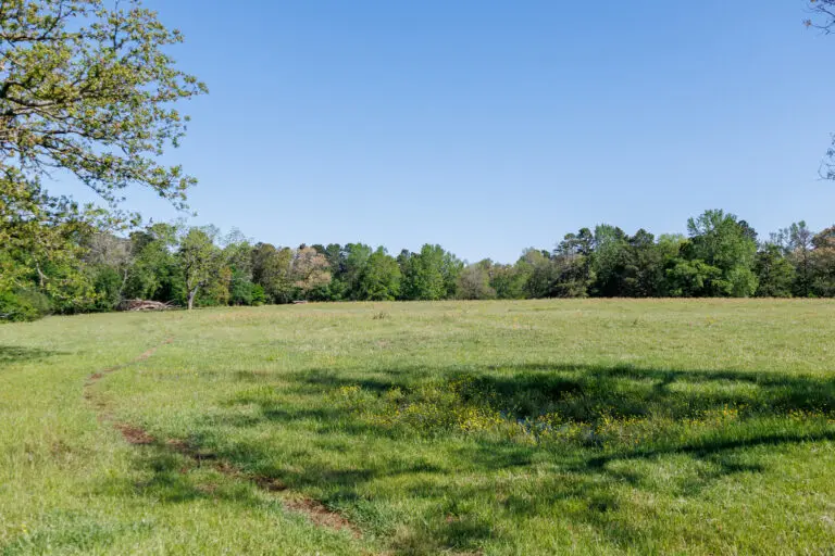 15_d4703bb8-b714-4314-8b69-e3dae0e0d3ca