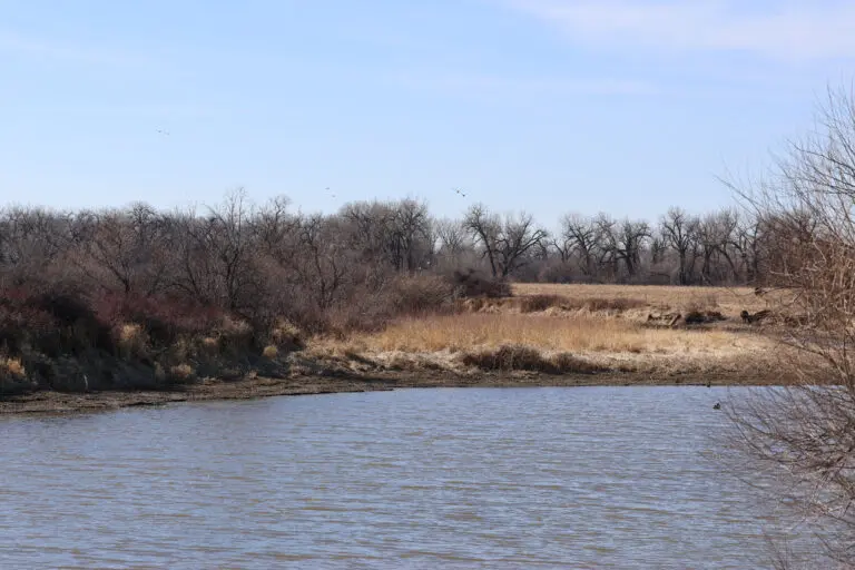 16_2b9da353-2d14-4d3a-86d4-de1e92f3267c