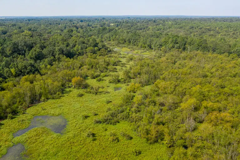 16_ea95c249-5217-4715-be26-a23fa6e07261