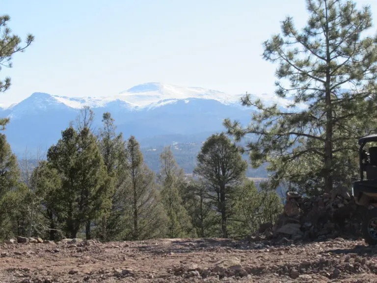 17_3fb6aa45-2f51-4a95-88a6-0bedeb428a09