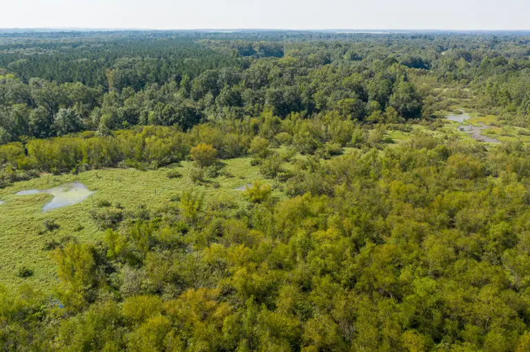 17_96f29ef4-4584-48b2-a469-1df46e6eae60