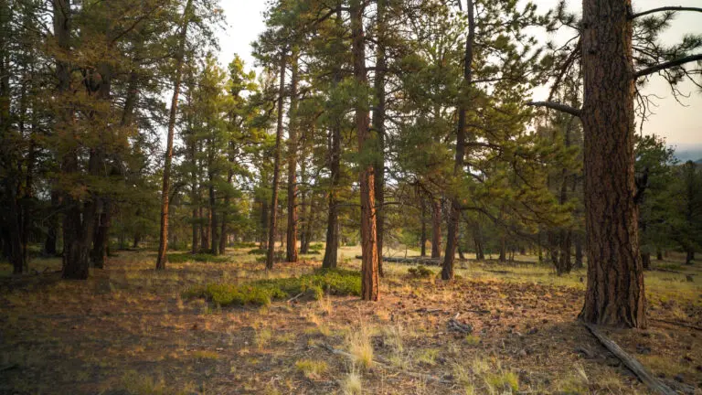 18_6359da3f-c3cc-415a-9015-3ef60b07a279