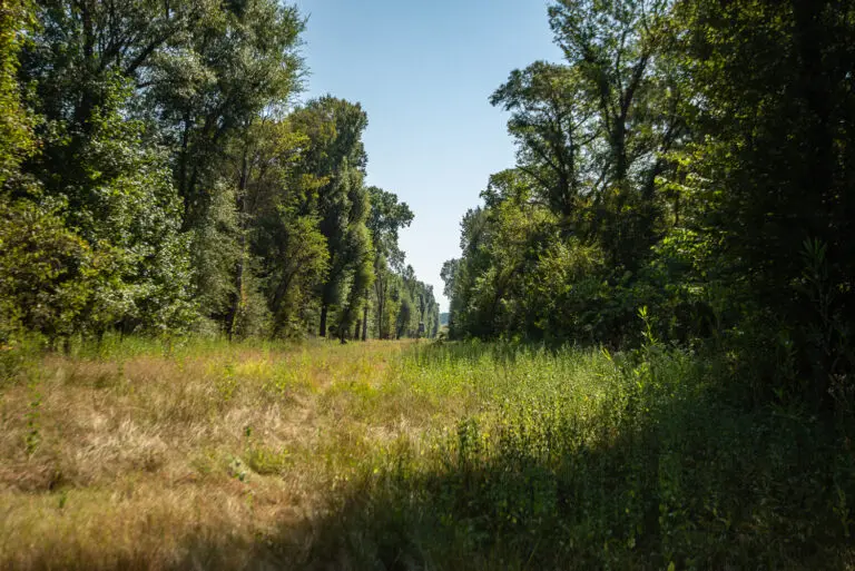 18_a3daf017-c8e0-4eac-a677-15727719b53b