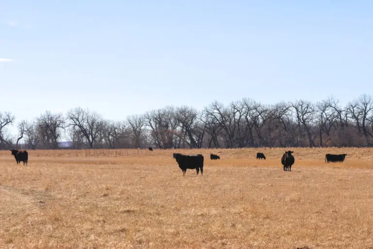 18_a58e375c-acfe-4120-92d2-98e08a1c8356