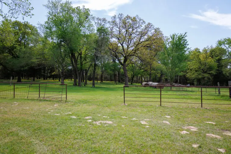 19_2095b8f3-c152-44e3-a0ca-86b84bb914b2