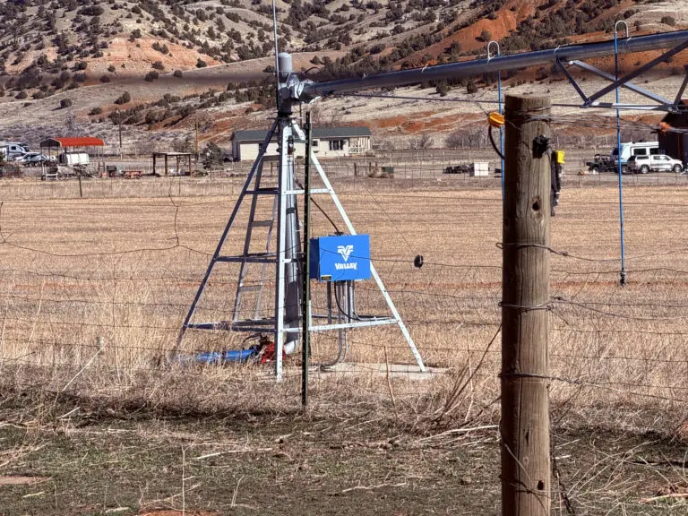 19_949a4019-bcdb-411e-aaa5-a2539314c345