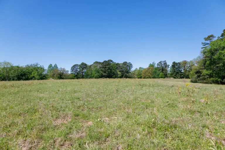 19_b6974e96-a3f5-4d1d-a635-8103903cc602