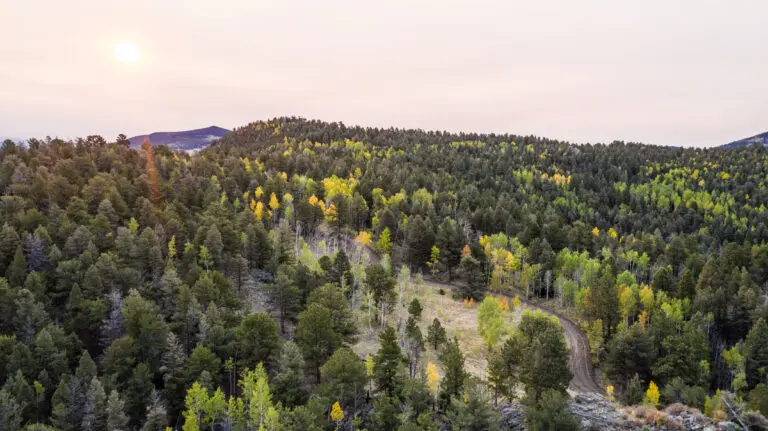 20_d7b5b999-0b03-4799-af54-0565bb3e928f