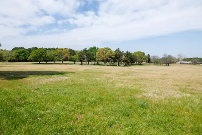 21_2f5e4c98-6bea-4125-9c00-15eb21192dc7