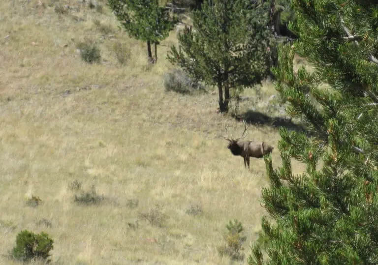 21_7f5af1b9-868a-4612-9cf9-5520f4a11311