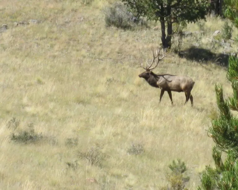 22_359f8798-5757-484d-a5fb-860be89b9033