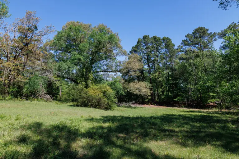 22_881a22c4-4179-497f-9d33-a1cb6625af27