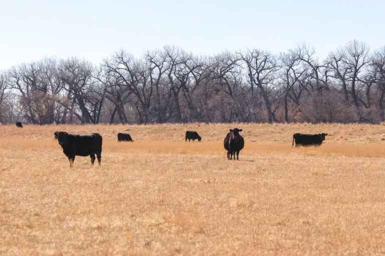 22_ba874827-94f0-4637-abba-0fcfe1fb3ebd