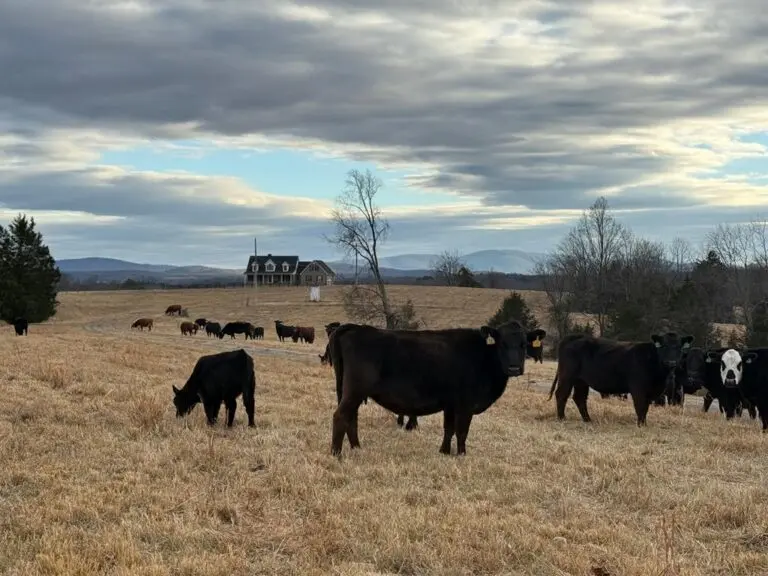 23_8eda1fe0-cc17-4643-afe0-3fd2f5258d30