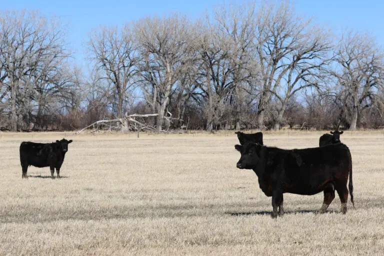 23_cc0f3b71-ca93-4563-aa55-b878e1f2e4f5