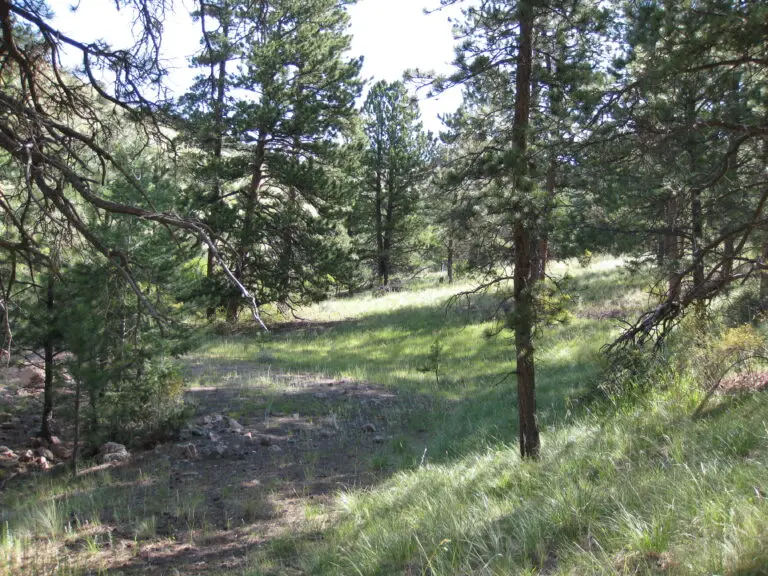 23_df93b91c-34de-42bb-a849-253ce8bb06dc