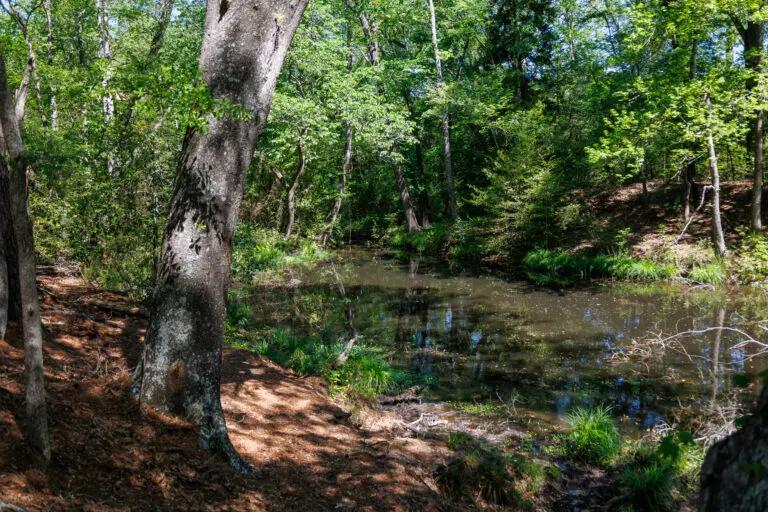 24_0f3e05aa-cf66-4a0f-bb91-461bf97778e6