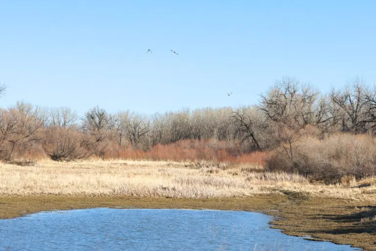 24_3379bb3e-c7c1-46e0-9e22-04226645ed05