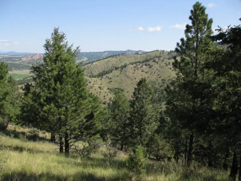 24_da5cf597-d06b-4e17-b434-32c35010273c