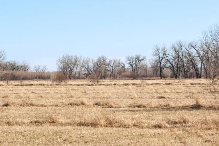 25_857155b3-9458-460f-a579-04bddaf322e4