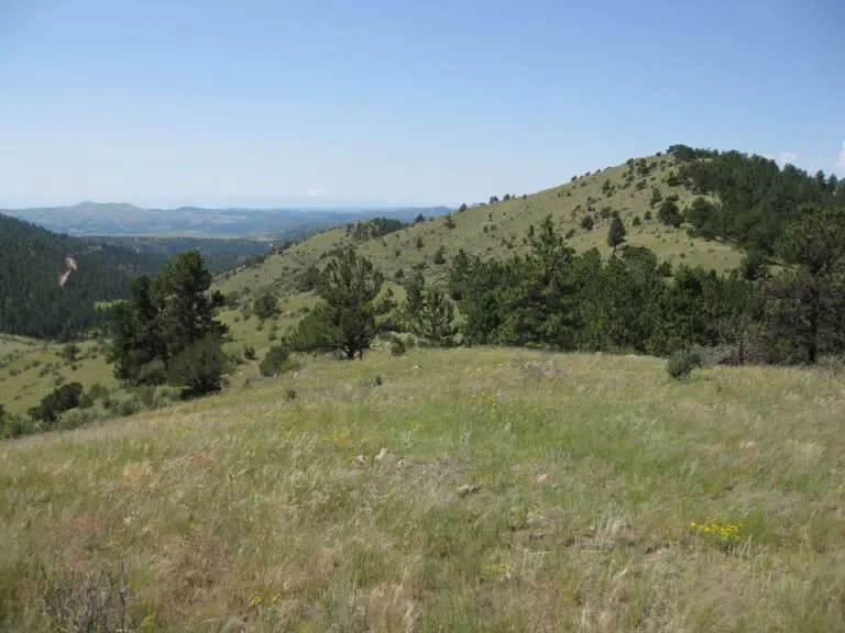 25_b8751e94-d0d4-4324-8c0a-8bfef90c2c82