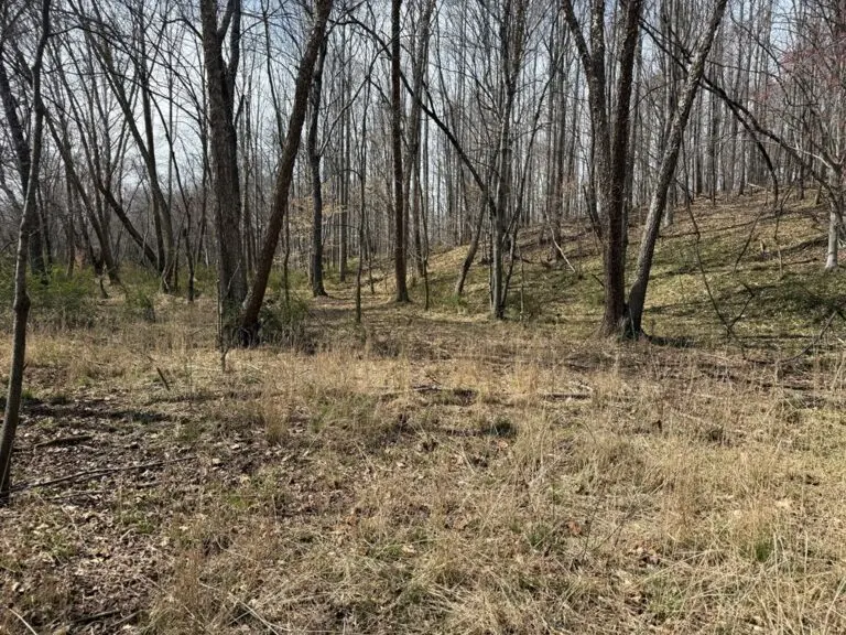 25_f273e860-3d15-4f53-bc28-7d2fa8ab92e8