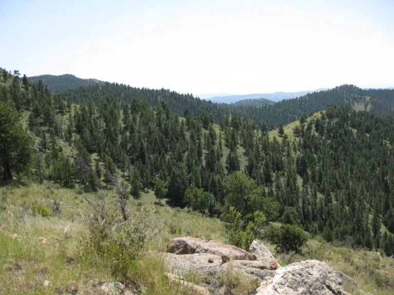 26_7e3b63d8-0311-480a-aef7-a0c27caba86d