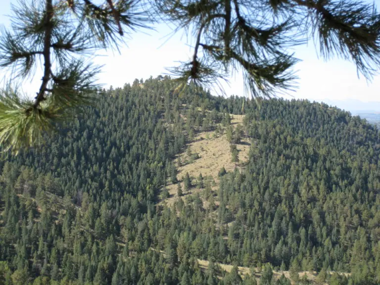 27_1caf1bd9-de09-4eab-88fe-9a8544af6db6