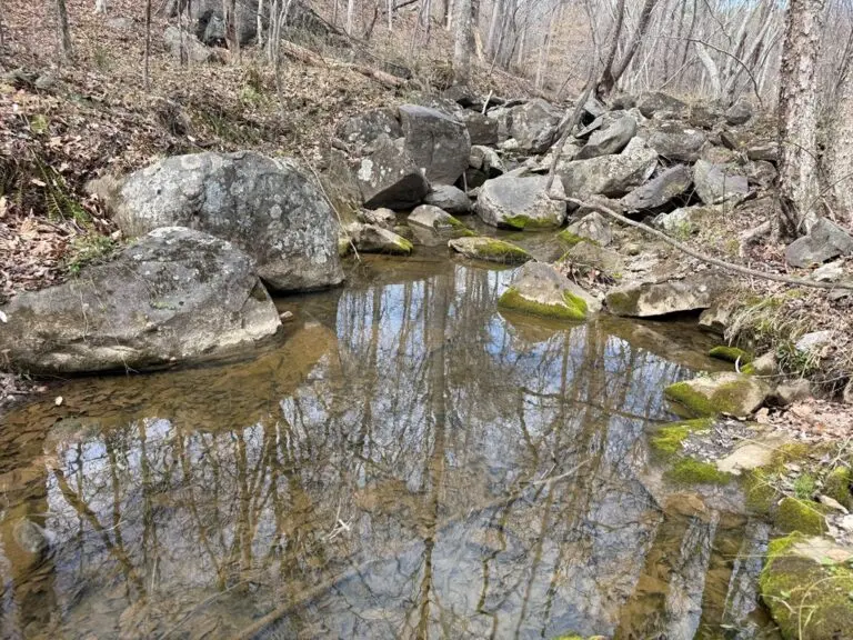 27_28782b04-0ffb-4bd6-bf8b-2ad37d03bfd0