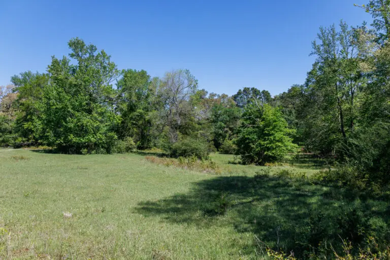 28_36c06a49-7375-4d5d-8cc1-8416b54f2e87