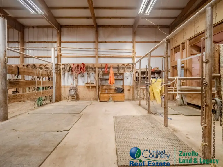 29_1a59f796-c566-4a37-9250-87a27eff4d37