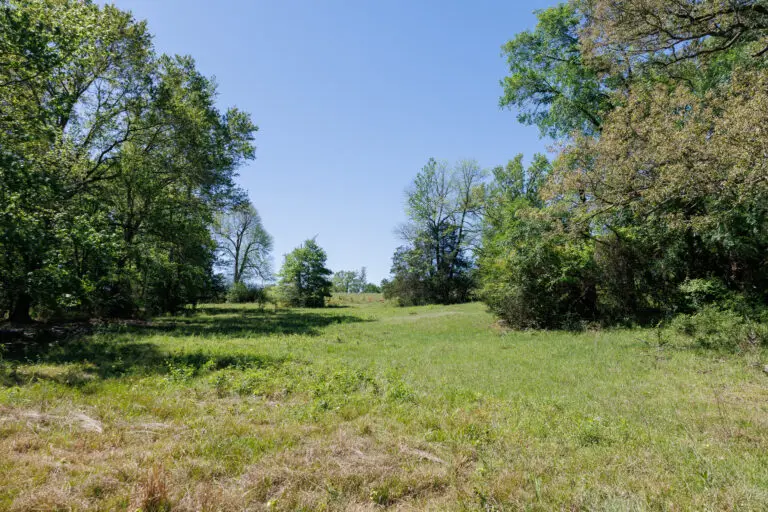 29_fa31a033-b956-4a4f-a1c9-b9168e64b866