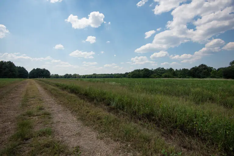 30_a4995df1-e991-4da0-a7a1-c22937622811