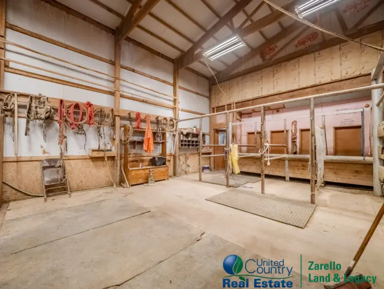 30_ee8ad963-c5f5-4cc8-99ef-c008121546f8