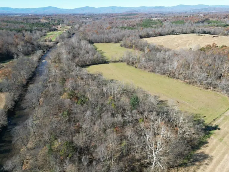 31_3f007d76-3cae-487a-8b83-eeaabb827956