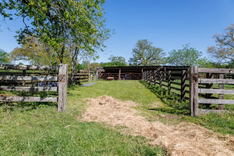 31_676f86a3-e287-435d-ba1f-60387501eb62