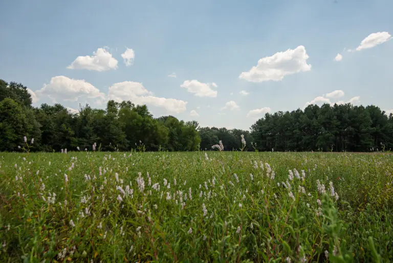 31_899bbe74-48f6-4854-8b31-90b175322712