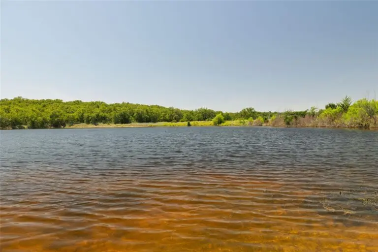 31_c7df1bcf-6c09-469c-86d0-230fd69295c0