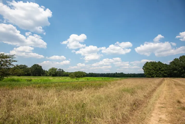 32_65ef7bb3-aada-4359-9b54-1313243c0588