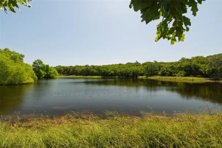 32_97441c06-6f2f-4d20-8bab-6fa0fbcc2d8b