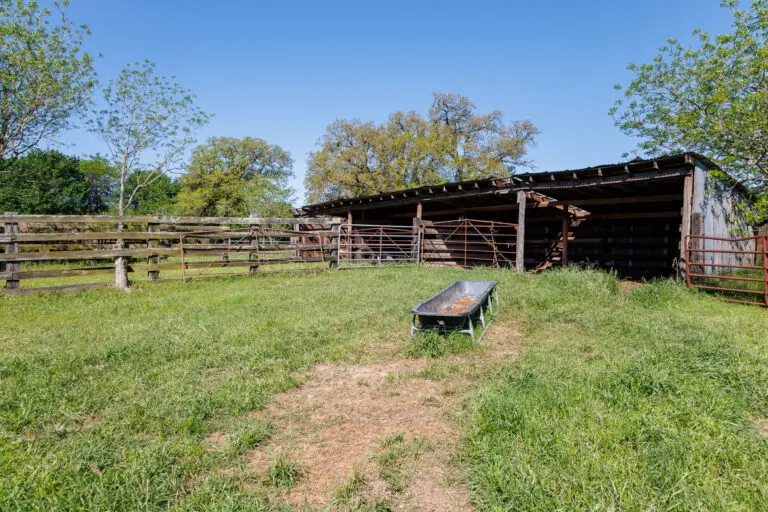 32_d9cb1a55-77ee-421c-a68e-1a8f681bee01